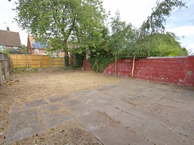 Picture 24